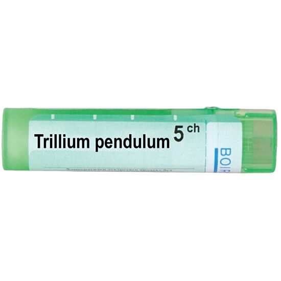 TRILLIUM PENDULUM 5 CH - изглед 1