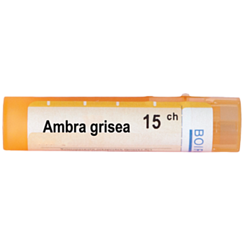 AMBRA GRISEA 15CH