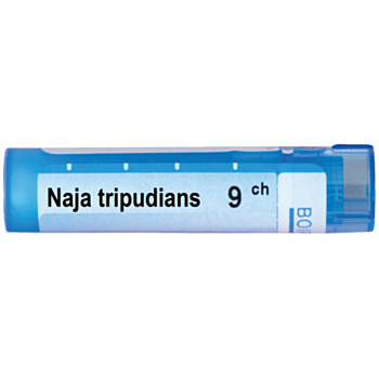 NAJA TRIPUDIANS 9 CH