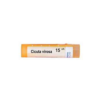 CICUTA VIROSA 15 CH