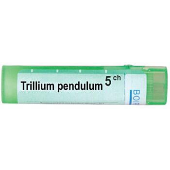 TRILLIUM PENDULUM 5 CH