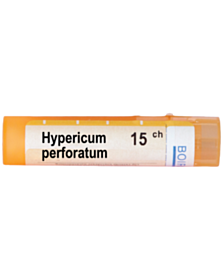 HYPERICUM PERFORATUM 15CН
