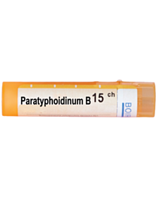 PARATYPHOIDINUM B 15 CH