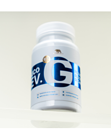 THE GREEN BEAR GLUCO REV ЗА КОНТРОЛ НА КРЪВНАТА ЗАХАР КАПС. X 60