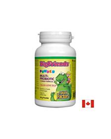 Multi-Probiotic Powder Big Friends®/ Мулти пробиотик за деца 3 млрд. активни пробиотици x 60 g пудра Natural Factors 068958018515