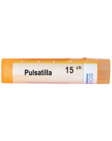 PULSATILLA 15СН