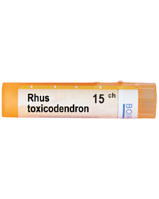 RHUS TOXICODENDRON 15CH