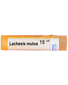 LACHESIS MUTUS 15CH