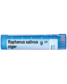 RAPHANUS SATIVUS NIGER 9 CH