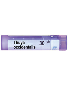 THUYA OCCIDENTALIS 30CH