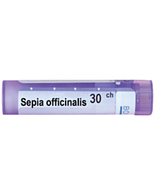 SEPIA OFFICINALIS 30СН