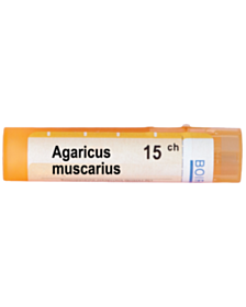 AGARICUS MUSCARICUS 15CH