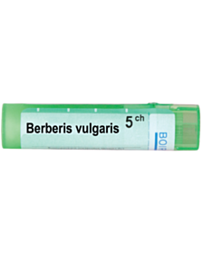 BERBERIS VULGARIS 5CH
