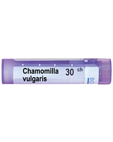 CHAMOMILLA VULGARIS 30CH