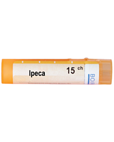 IPECA 15CH