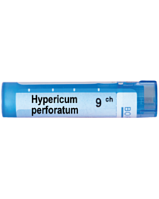 HYPERICUM PERFORATUM   9CH