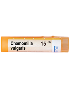 CHAMOMILA VULGARIS 15CH