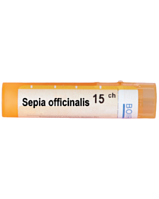 SEPIA OFFICINALIS 15CH