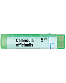 CALENDULA OFFICINALIS 5CH