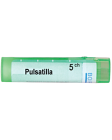 PULSATILLA   5CH
