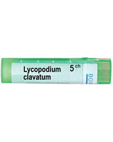 LYCOPODIUM CLAVATUM   5CH