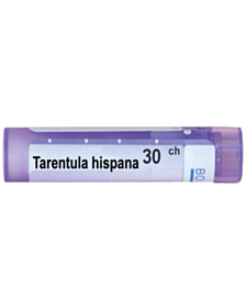 TARENTULA HISPANA 30 CH