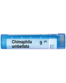 CHIMAPHILA UMBELLATA 9 CH