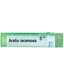 ARALIA RACEMOSA 5 CH