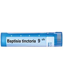 BAPTISIA TINCTORIA 9CH