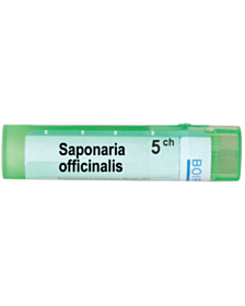 SAPONARIA OFFICINALIS 5 CH