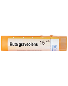 RUTA GRAVEOLENS 15CH