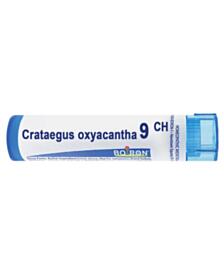 CRATAEGUS OXYACANTHA CH 9