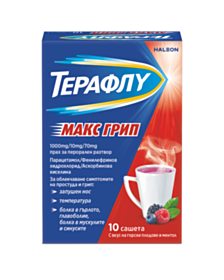ТЕРАФЛУ МАКС ГРИП САШЕТА Х 10 