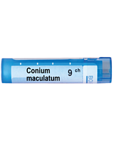 CONIUM MACULATUM 9CH