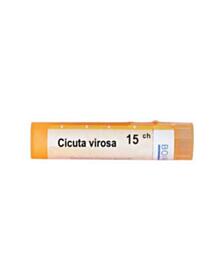 CICUTA VIROSA 15 CH
