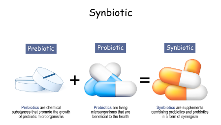 Какво е синбиотик и кога се пие?