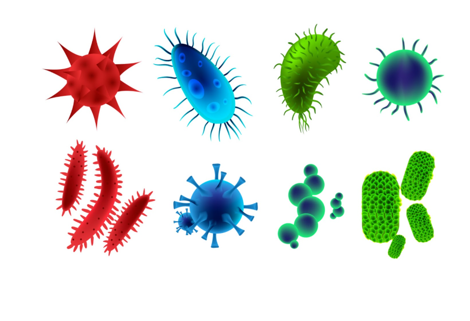 вируси, които причиняват херпангина