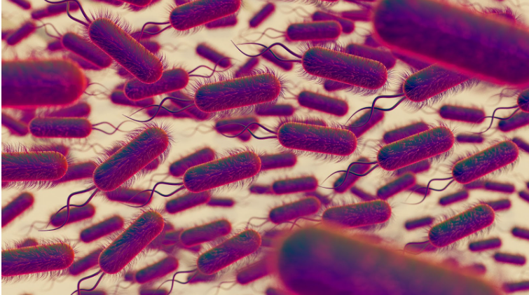 Бактерии в урината