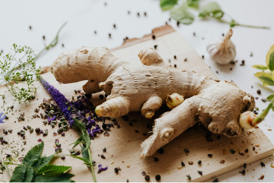 корен от джинджифил