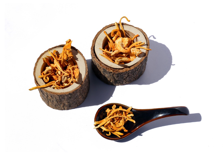 Гъба кордицепс адаптоген