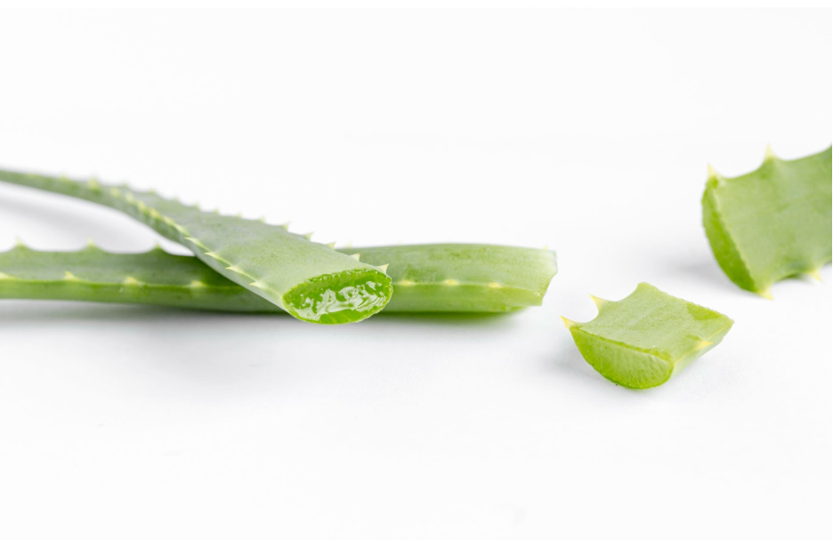 листа от алое вера