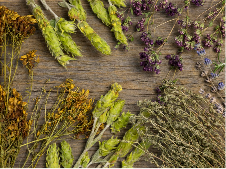 различни сушени билки за имунитет